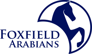 Foxfield Arabians